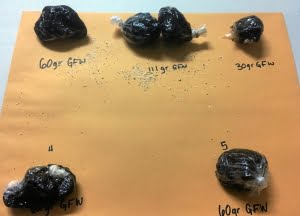 Black Tar Heroin price